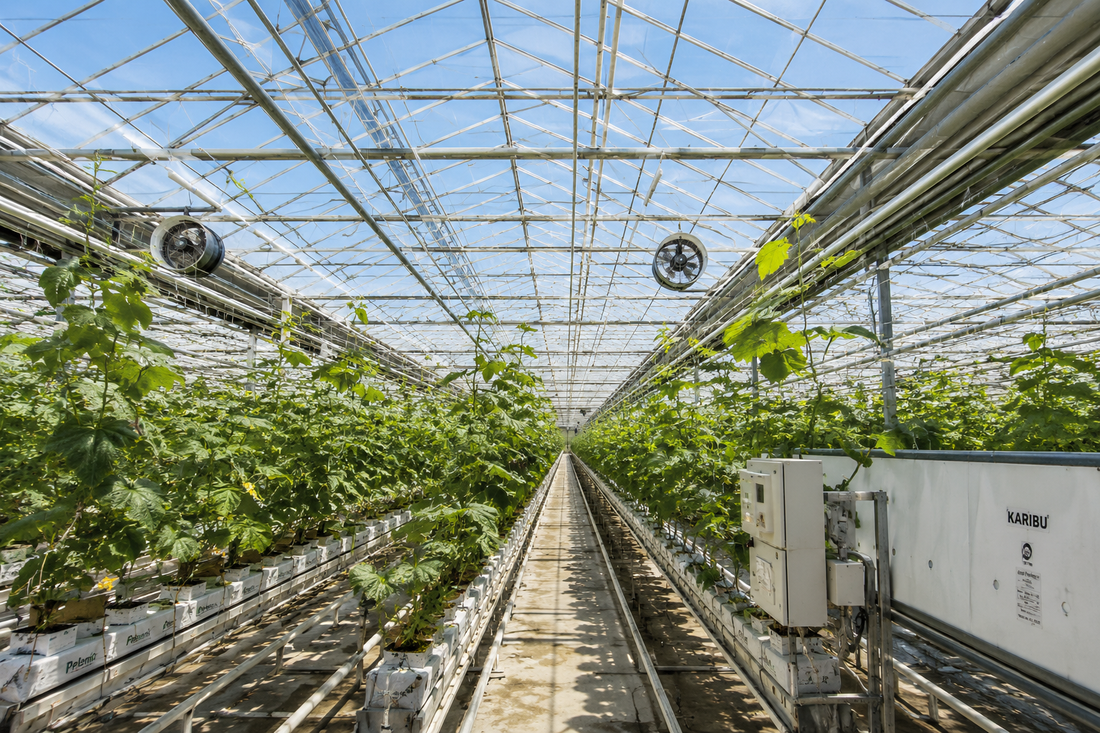 Why Greenhouse Temperature Stability Matters More Than Temperature Alone