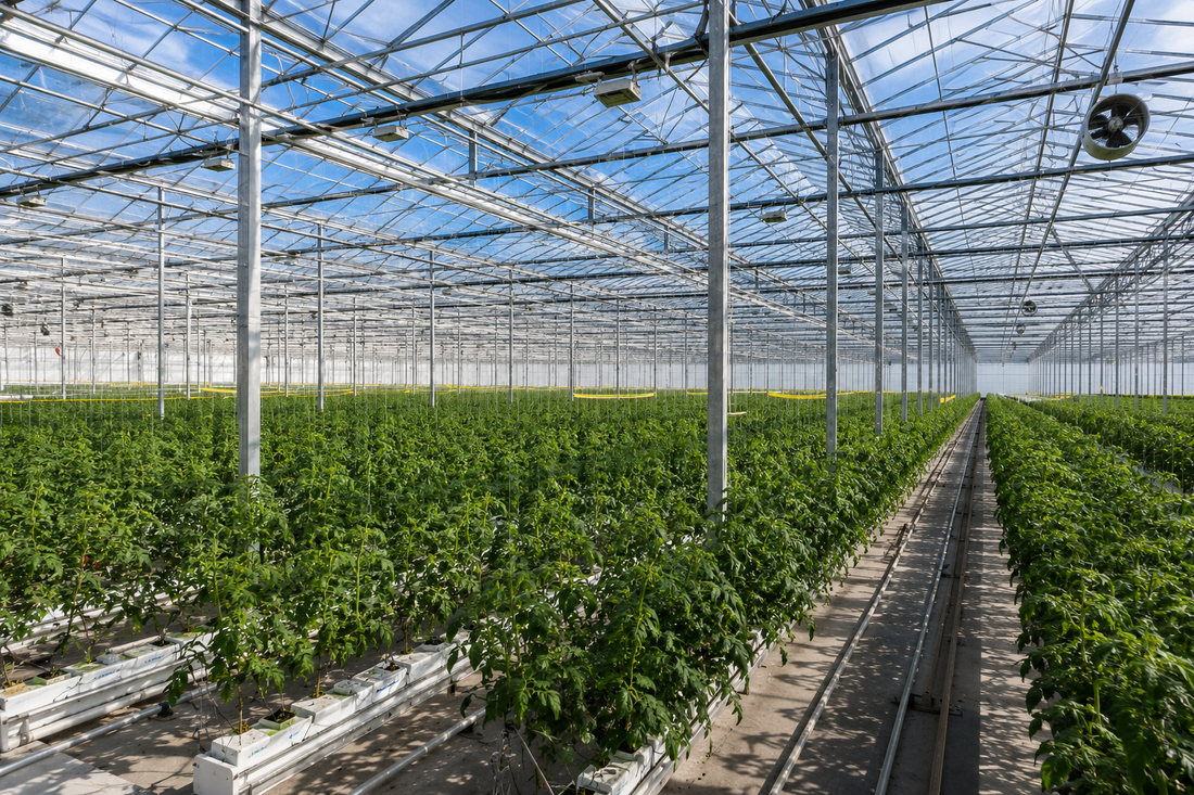 How Phase Change Materials Stabilize Greenhouse Temperatures